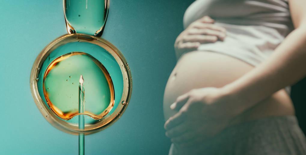 Proses kehamilan dengan IVF