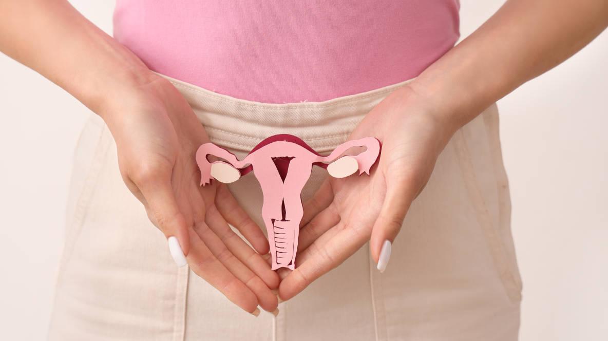Wanita dan organ reproduksinya