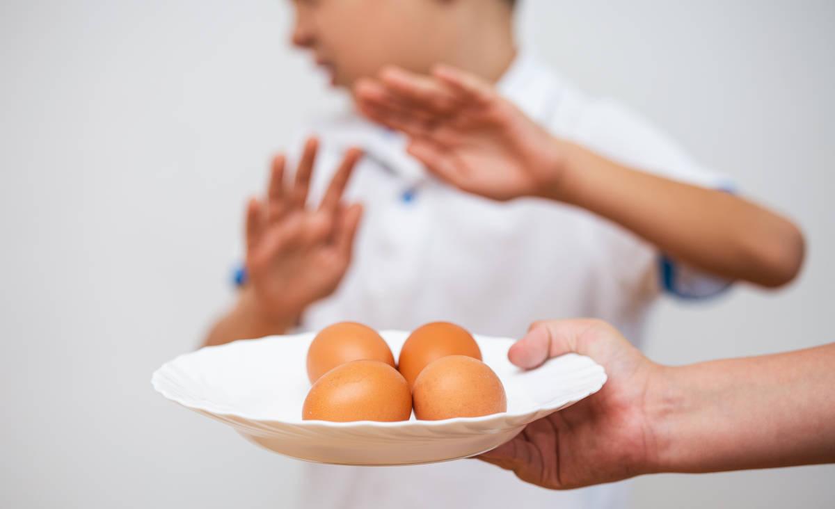 Anak alergi telur