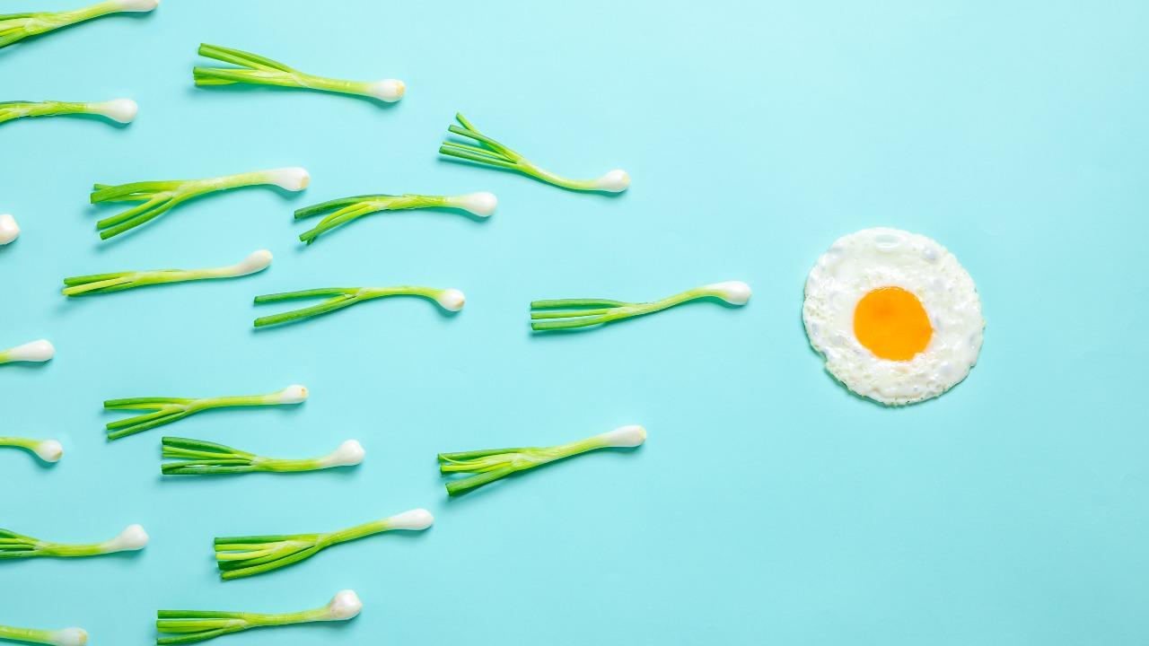 9 Makanan yang Baik untuk Kesuburan Pria